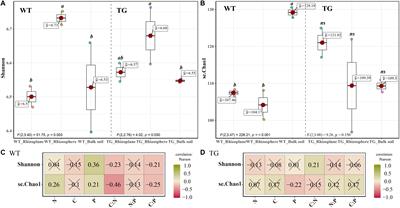 Effects of Drought-Tolerant Ea-DREB2B Transgenic Sugarcane on Bacterial Communities in Soil